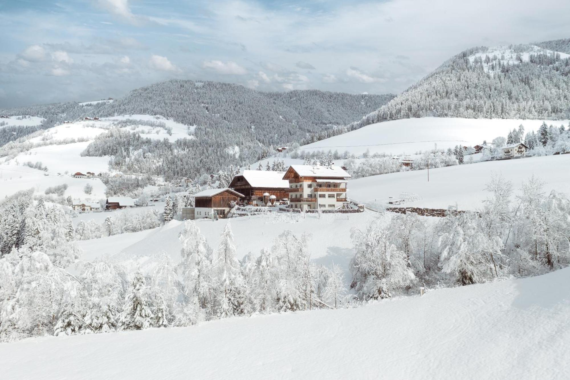 Grosskarnaiderhof Appartements-Bauernhof-Natur Pur Luson Bagian luar foto