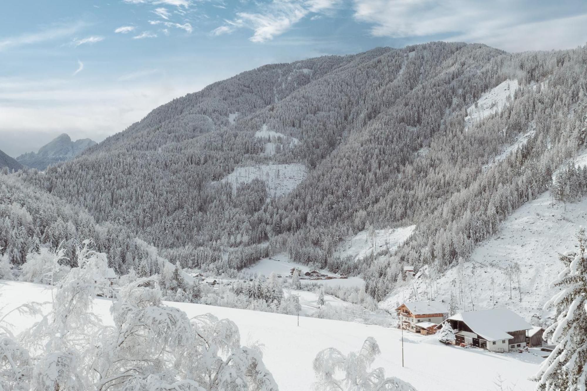 Grosskarnaiderhof Appartements-Bauernhof-Natur Pur Luson Bagian luar foto